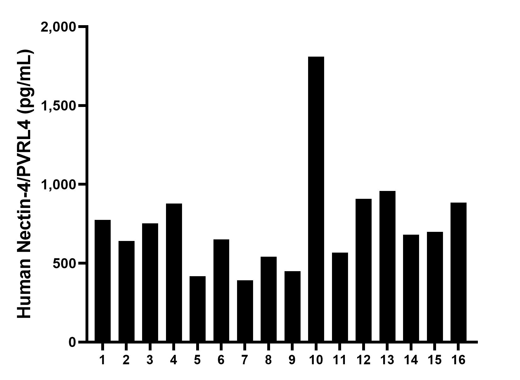 Serum of sixteen individual healthy human donors was measured. The Nectin-4/PVRL4 concentration of detected samples was determined to be 750.17 pg/mL with a range of 392.48 - 1,810.23 pg/mL.